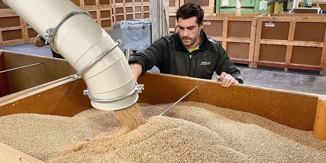 Die Frage wird in Zukunft an Bedeutung gewinnen: Behandelt man das Saatgut noch chemisch-synthetisch, oder nutzt man Alternativen wie beispielsweise die Dampfbehandlung?