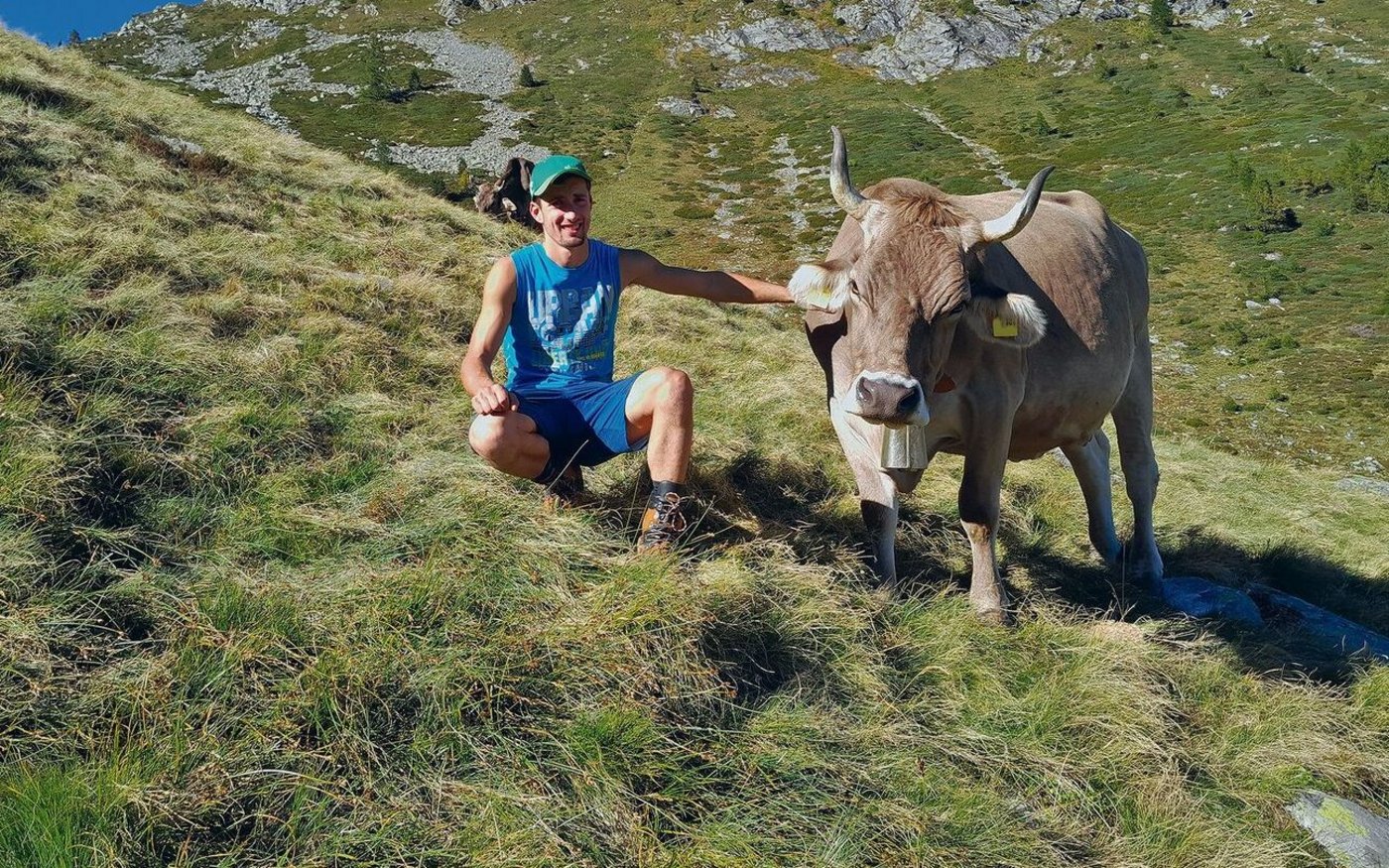Matteo Ambrosini und seine Lieblingskuh Gioa auf der Alpe Porcaresc im Valle Onsernone im Tessin.