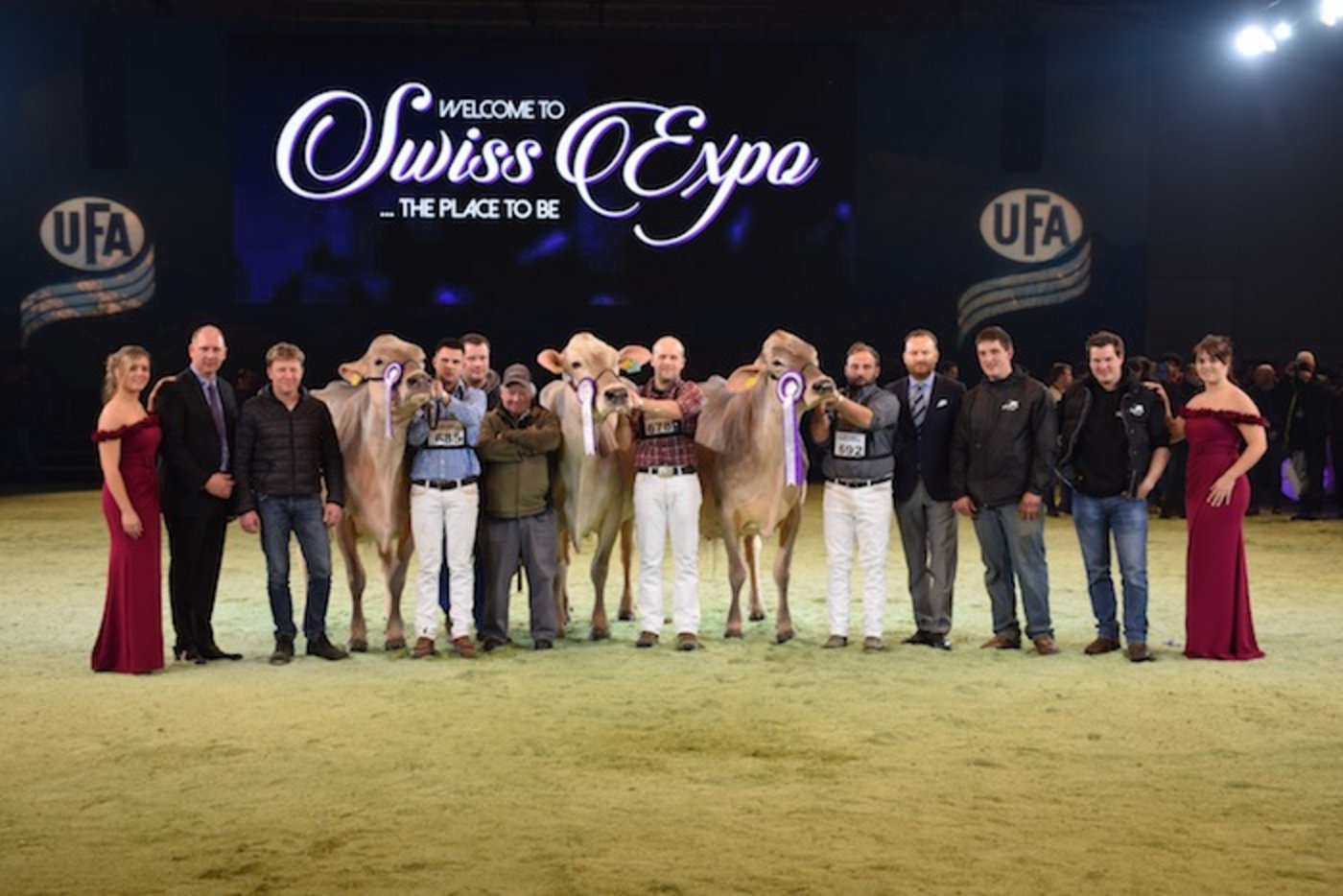 Grand Champion - Senior-Champion (rechts): Truaisch Fili. Panner Fortuna, Matthias Vitali, Olivone Reserve (Mitte): Glenn Laos, Nicola Pedrini, Airolo Mention (links): Tschudenhaus Big Boy Polly, Franz und Pascal Felder, Marbach. (Bild joy)