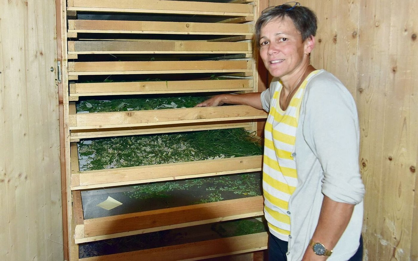 Edith Räss trocknet die Kräuter in einem Dörrkasten, den sie von einer Kollegin übernehmen konnte.