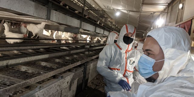 Die Aktivisten betonen, sie würden immer friedlich bleiben. (Bilder 1Individuum)