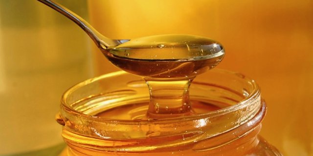 Ohne den Kälteinbruch im April wäre beim Schweizer Honig 2017 eine Rekordernte möglich geworden. (Bild Apisuisse)