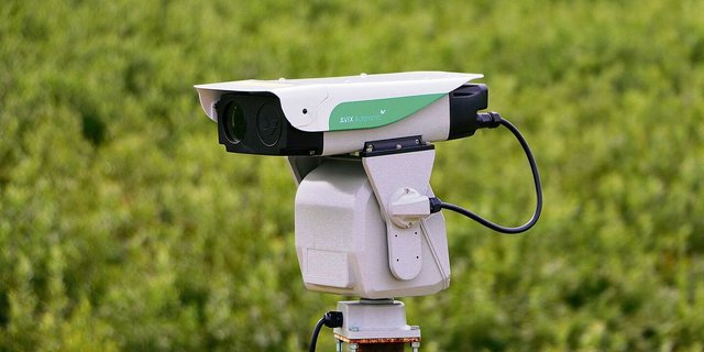 Die Rechtslage ist vor allem für die automatische Version der Laser-Vogelabwehr kompliziert.