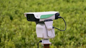 Die Rechtslage ist vor allem für die automatische Version der Laser-Vogelabwehr kompliziert.