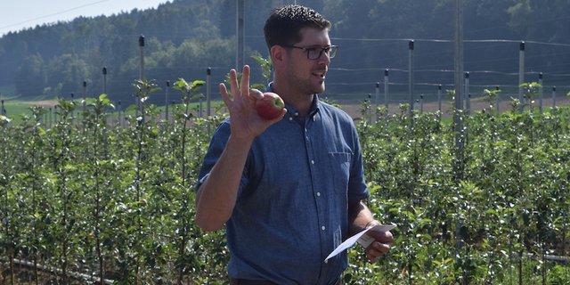 Ralph Gilg, Präsident des Thurgauer Obstverbandes, erklärt, wie ein Apfel aussehen muss, damit er im Laden gekauft wird. (Bilder Stefanie Giger)