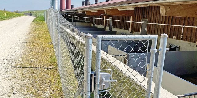 Das Abschirmen von Auslauf und Gebäude ist eine wichtige Massnahme zur Biosicherheit. Hausschweine und Wildschweine dürfen keinen Kontakt haben.  (Bild Alois Estermann)