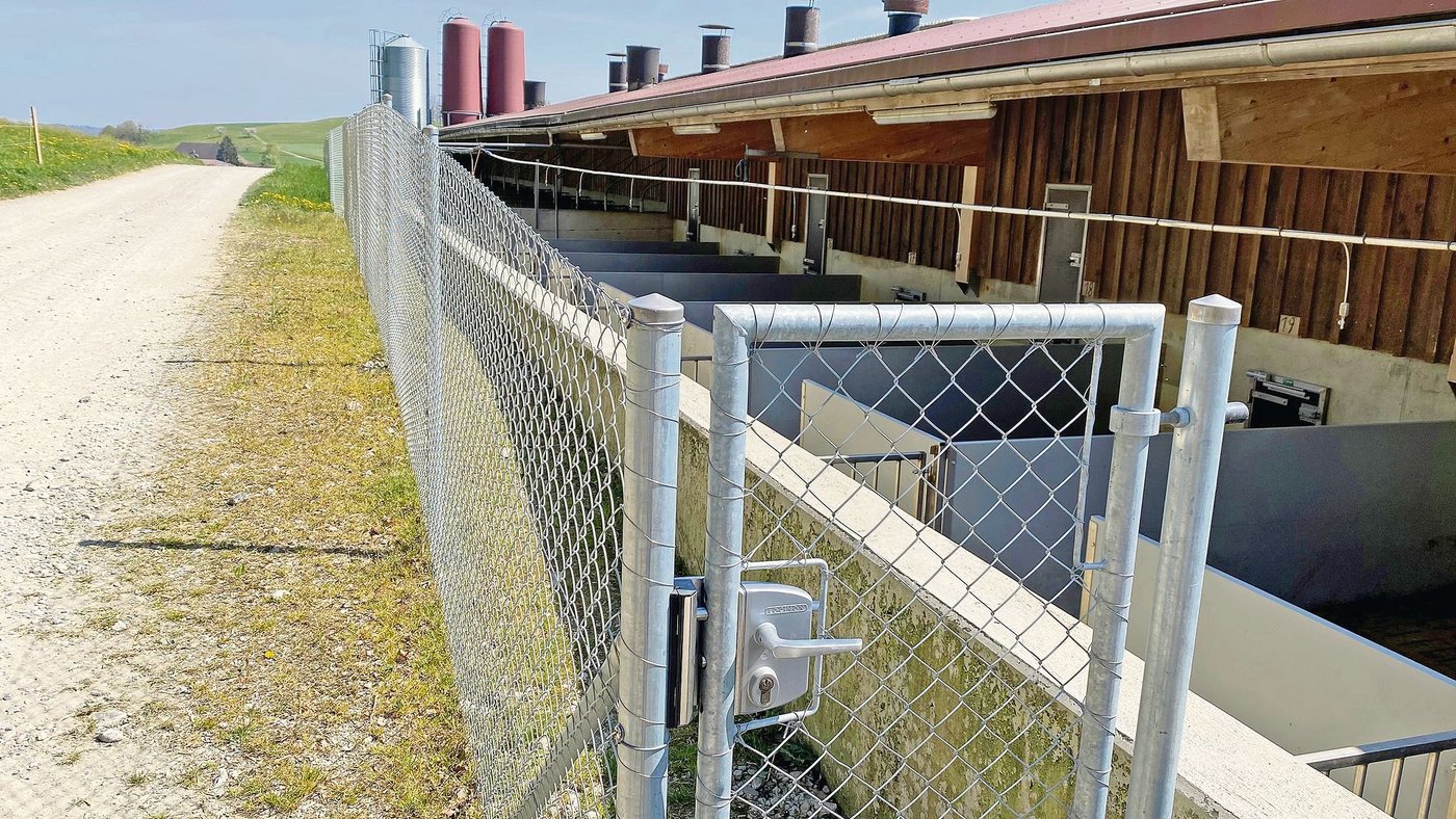 Das Abschirmen von Auslauf und Gebäude ist eine wichtige Massnahme zur Biosicherheit. Hausschweine und Wildschweine dürfen keinen Kontakt haben.  (Bild Alois Estermann)