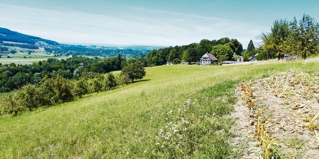 Bauernhöfe rücken ins Zentrum, wenn es ums Klima geht. Als Betroffene, als Mitverursacher aber auch als Lösung. Ein Pilotprojekt am Ebenrain hat zum Ziel, die Landwirtschaft im Bereich des Humusaufbaus gezielt zu unterstützen. (Bild sb)