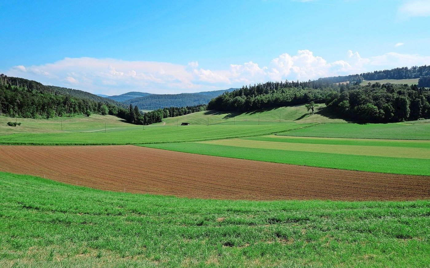Für die Festlegung von Zuströmbereichen müssen die Wasserflüsse in der Landschaft nachvollzogen werden. Die offiziellen Grundlagen dafür sind veraltet und in Überarbeitung.