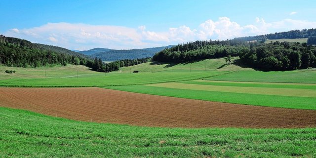 Für die Festlegung von Zuströmbereichen müssen die Wasserflüsse in der Landschaft nachvollzogen werden. Die offiziellen Grundlagen dafür sind veraltet und in Überarbeitung.
