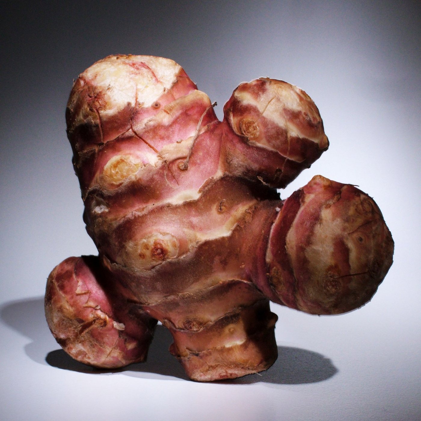 Der Name Topinambur stammt vom Indianerstamm der Topinambá. (Bild cc)