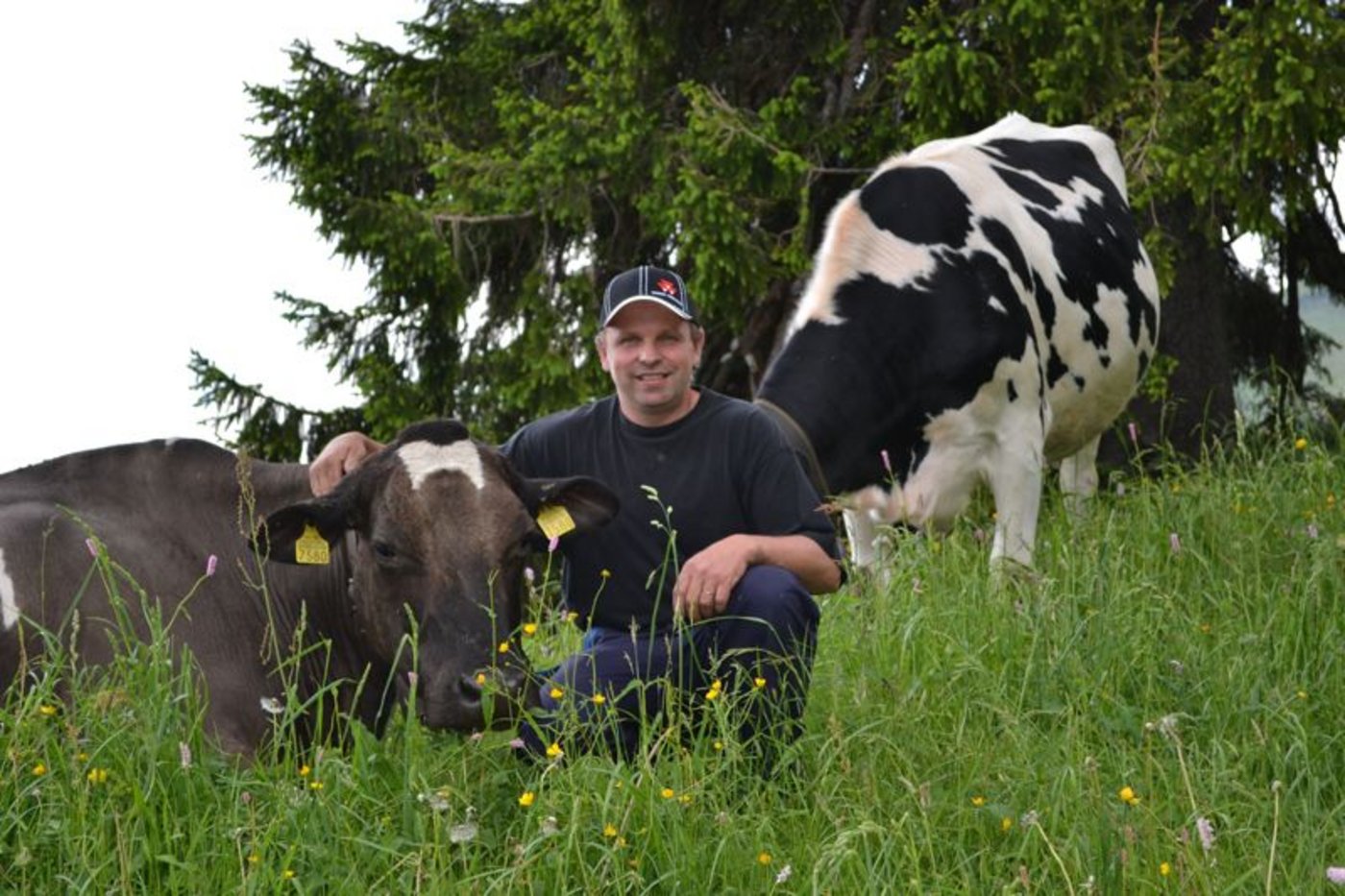 Hofft, dass sein Betrieb demnächst wieder BVD-frei ist: Daniel Zbinden aus Zumholz FR. (Bild Julia Schwery)