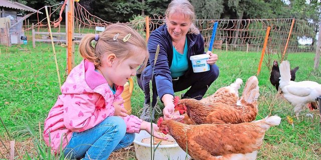 Jana lernt bei Marylène Kammermann Basiswissen und Zusammenhänge rund ums Thema «Vom Ei zum Huhn». 