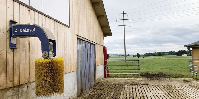 Betrieb Obermoos, Wauwil LU: Tagsüber steht das Tor im Laufhof in Richtung Weide stets offen. 