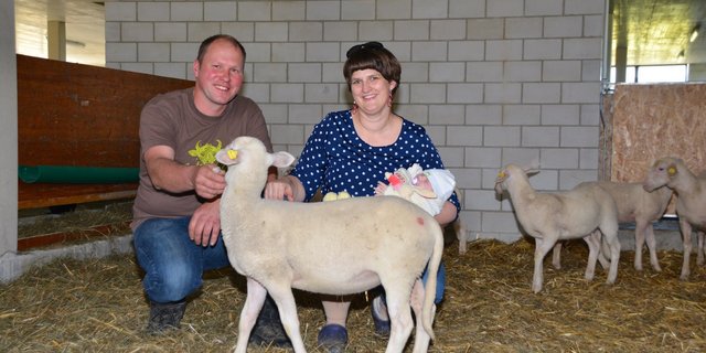 Beat Huber und Silvia Welti mit Töchterchen Flurina im Lämmerstall. "Bisher hatten wir Glück und es hat viele Auen gegeben", berichtet der Betriebsleiter. Diese brauchen sie zur Aufstockung der Herde. (Bild Andrea Gysin)