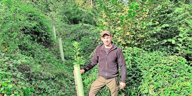 Stefan Hüsler bei einer ausgemähten jungen Eiche. Die Waldparzelle war 2021 von einem Sturm betroffen. In der lückigen Fläche wurde der bestehende Fichten- und Tannenbestand mit Eichen und Spitzahorn ergänzt. 