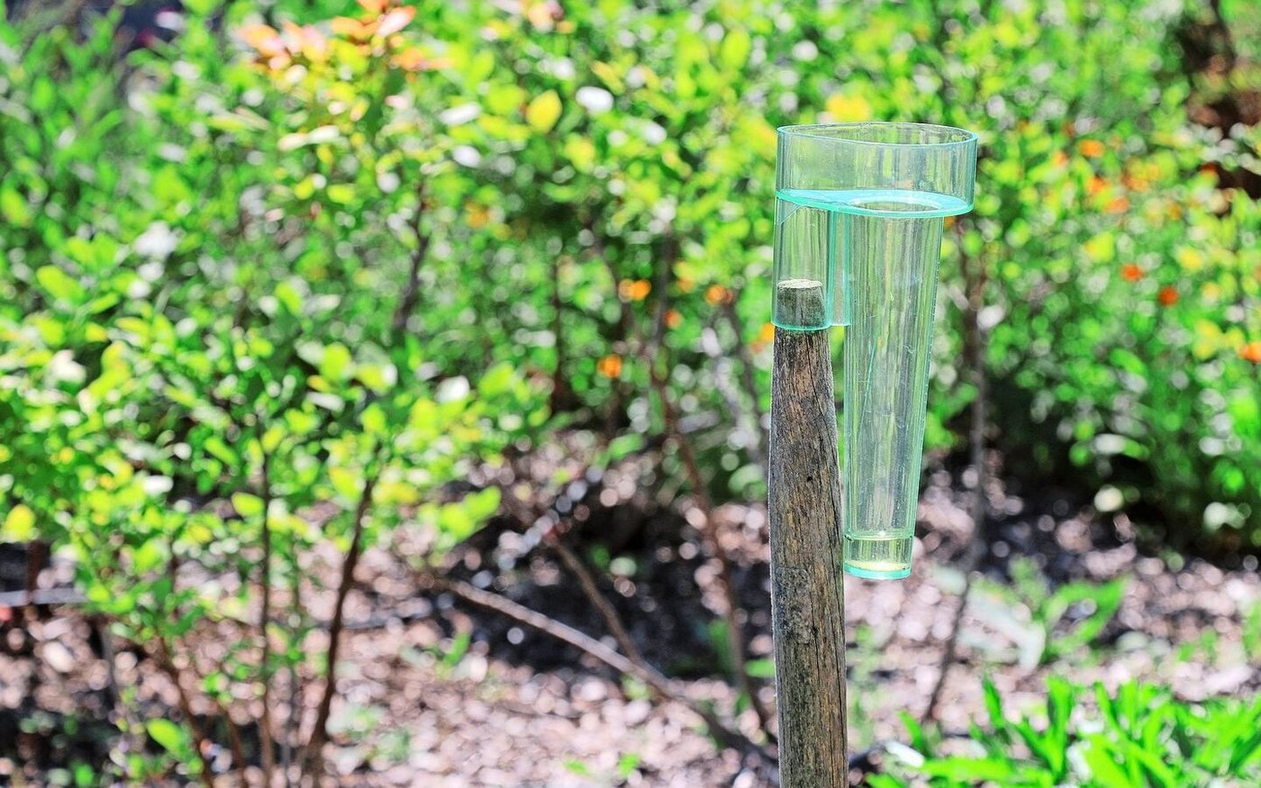 Ohne Messung im Feld geht es nicht: Im Gegensatz zu Chat GPT kann landwirtschaftliche KI nicht einfach im Internet trainiert werden.