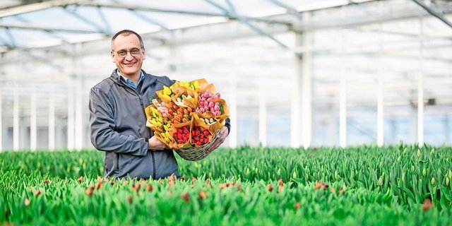 Bruno Rutishauser inmitten eines Indoor-Tulpen-Meeres. Durch die Wochen in der Tageslichthalle werden die Blumen länger haltbar.