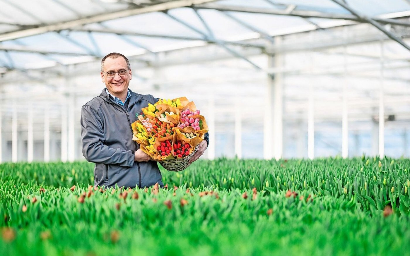 Bruno Rutishauser inmitten eines Indoor-Tulpen-Meeres. Durch die Wochen in der Tageslichthalle werden die Blumen länger haltbar.