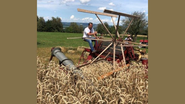 Der aus den 1940er-Jahren stammende Bindemäher der Marke McCormick besitzt einen Zapfwellenantrieb und kann das Getreide gleichzeitig mähen, binden und in Garben bündeln. (Bild Familie Spiri)