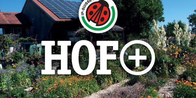 Mit dem ergänzenden Modul «Hof+» soll das Hofgelände mit seiner Vielfältigkeit und seinem Artenreichtum zur Visitenkarte für einen Landwirtschaftsbetrieb werden und viele Konsumenten und Konsumentinnen ansprechen. (Bild IP-Suisse)