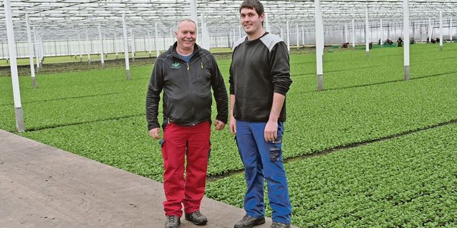 Die Betriebsleiter haben die Zuständigkeiten untereinander aufgeteilt. So ist Thomas Wyssa (links) für die Bodenbearbeitung und den Pflanzenschutz, Sohn Christoph (rechts) für die Mitarbeitenden und die Hallen, in denen etwa gerade Nüssler wächst, verantwortlich. 