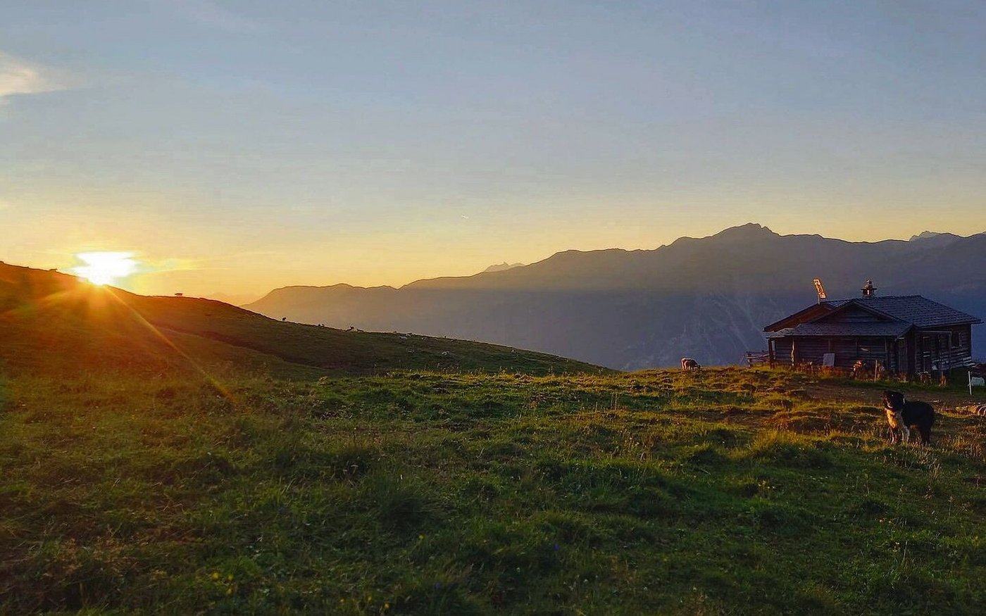 Stimmungsvoller Moment auf der Alp Oberst in Schams.                   