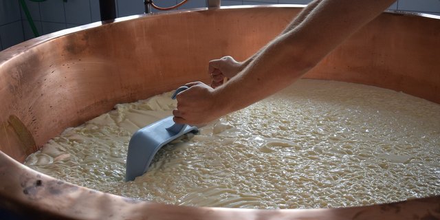 Aus Milch, Propionsäurebakterien und Lab  wird Käse – wie das geht, wissen Milchtechnologinnen genau. (Bild Pixabay)