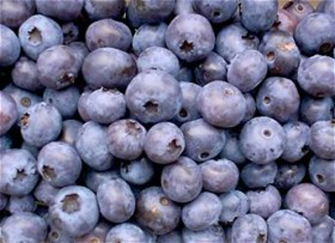 Der Heidelbeerkonsum legte massiv zu. (Bild lid)