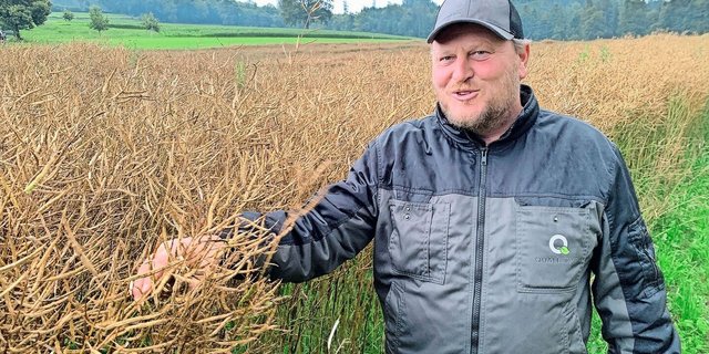 Roger Fleischlin mit Bioraps oberhalb Sempach. Die Parzelle düngte er nur im Herbst.  