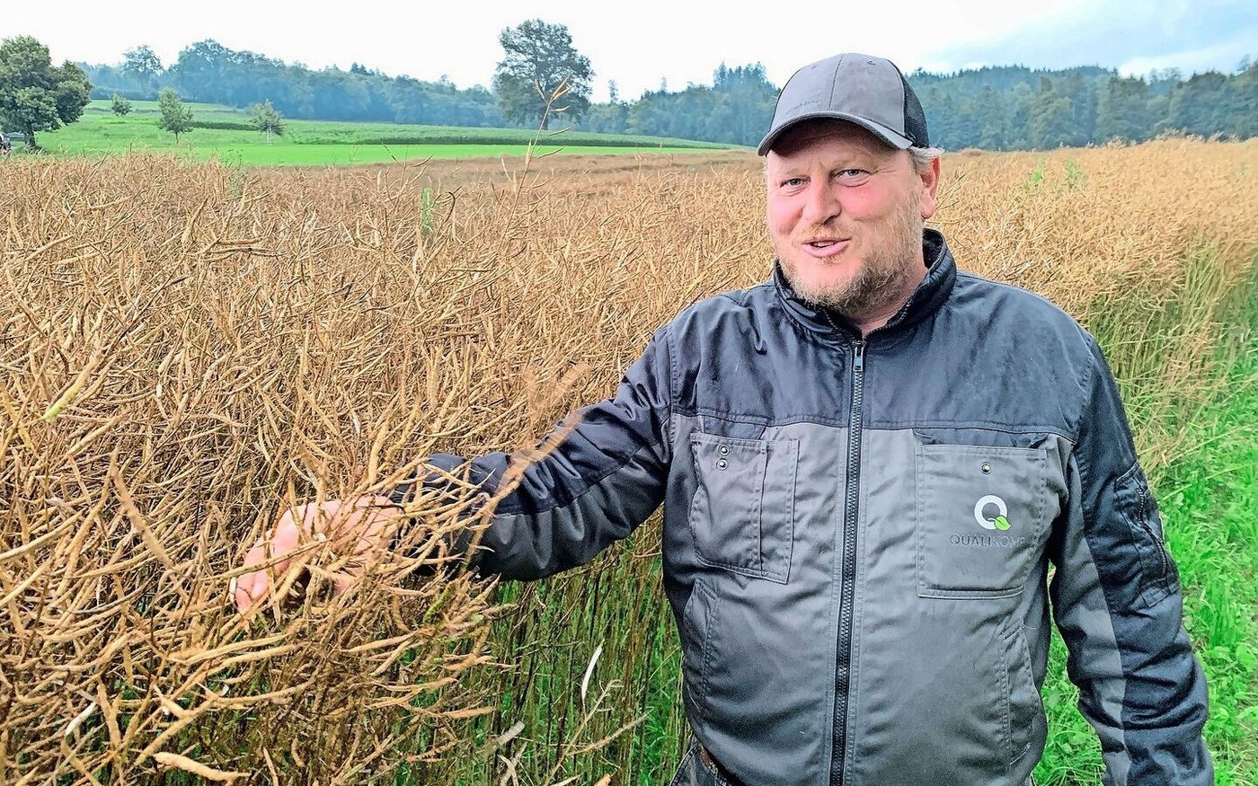 Roger Fleischlin mit Bioraps oberhalb Sempach. Die Parzelle düngte er nur im Herbst.  