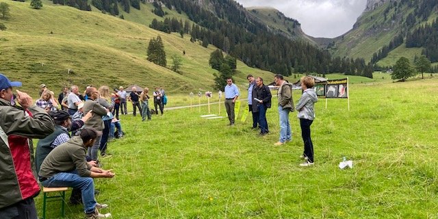 Diskussion vor eindrücklicher Kulisse auf der Alp Grosser Mittelberg im Justistal. (Bild ses)