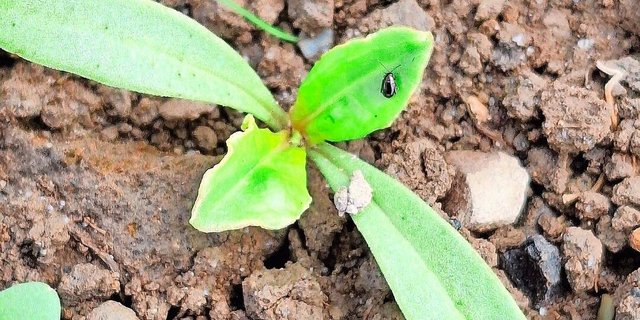 Legende bis zu Zweizeilig möglich Legende Legende Legende Legende Legende Legende Legende Legende Legende