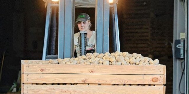 Für eine sichere Bedienung von Staplern ist präzises Arbeiten auf manchmal engem Raum gefragt. 