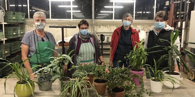 Irène Lüthi (ganz links) zeigt ihren Kursteilnehmerinnen, wie sie länger Freude an ihren Zimmerpflanzen haben können: Umtopfen zum Beispiel bringt viel. (Bild Esther Thalmann)