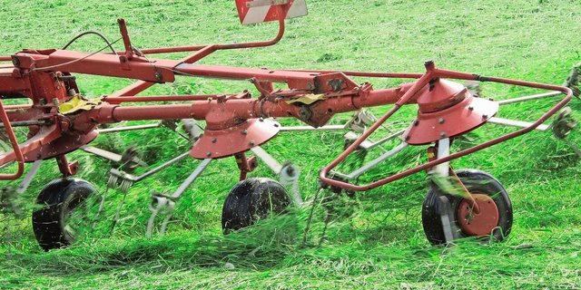 Bei höheren Temperaturen erhöht sich auch die Aktivität von Bakterien und Hefen. Das beschleunigt den Silierprozess in der Regel. Aber bei unreinem Ausgangsmaterial kann das zu Problemen führen.
