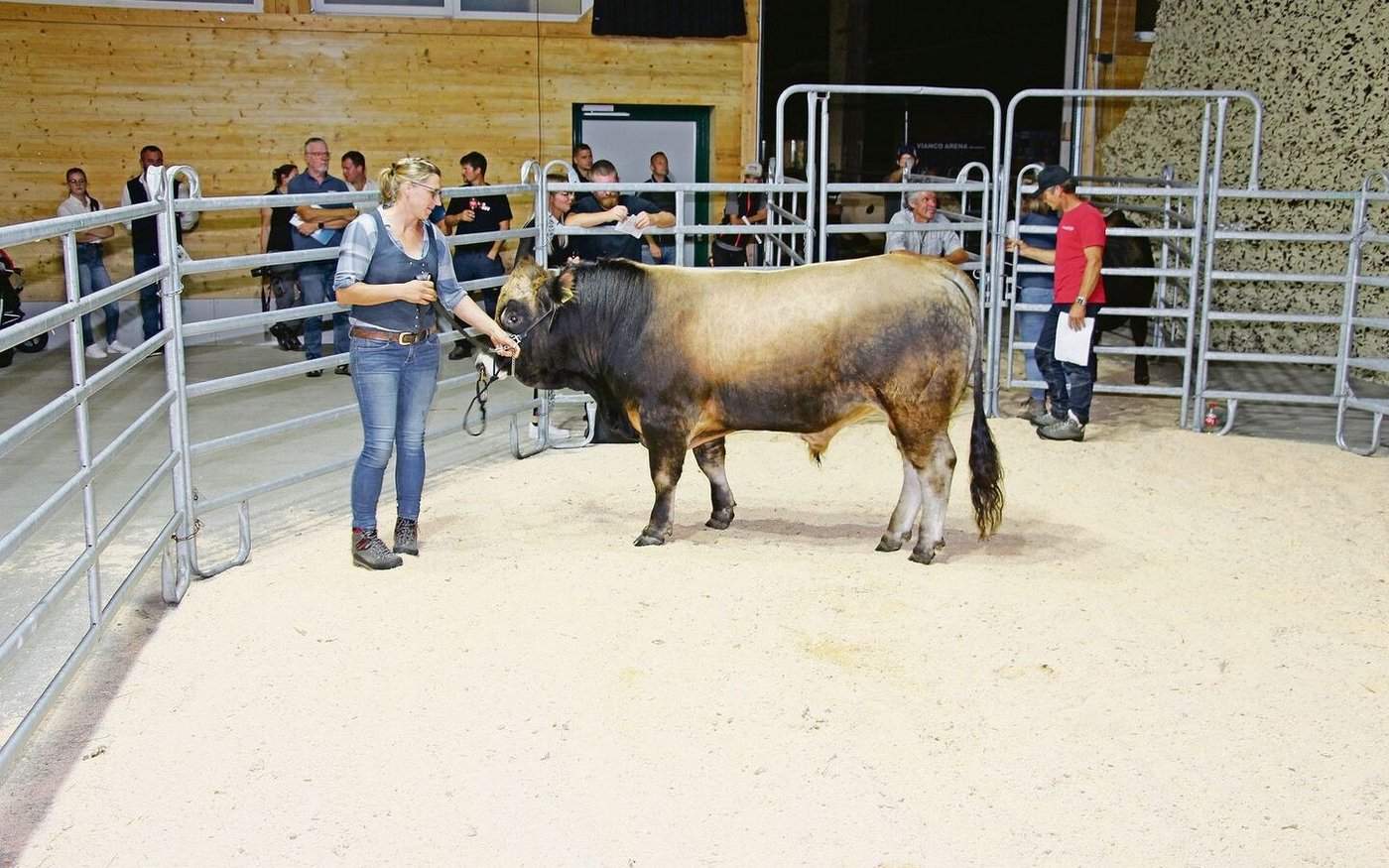 Der Stier Pontiac vom Horn wurde Champion bei der Rasse Aubrac. Er erzielte einen Preis von Fr. 5200.–.