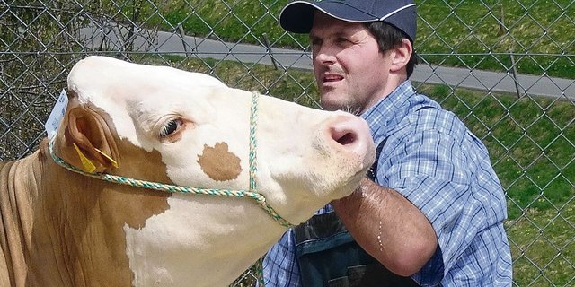 Daniel Seematter aus Saxeten stand der IG Swiss Fleckvieh acht Jahre als Präsident vor.