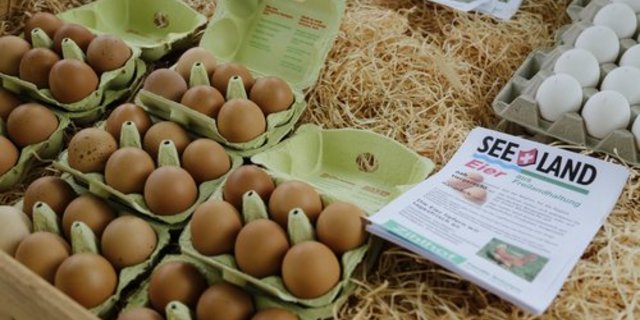 17,8 Millionen mehr Eier wurden von letzten Oktober bis letzten März in der Schweiz produziert. (Bild: lid)
