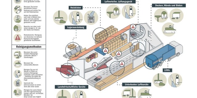 Ab 1. Juli 2021 beträgt der Rückstandshöchstgehalt Chlopropham (CIPC)-behandelter Kartoffeln 10 mg/kg. Lagerhalter müssen deshalb mit speziellen Reinigungsmassnahmen ihre Lager von Rückständen beseitigen, bevor neue Kartoffeln eingelagert werden. (Grafik Swisspatat)