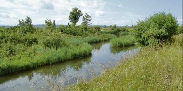 Ökologie und Landwirtschaft wird auch im Grossen Moos zur Herausforderung.