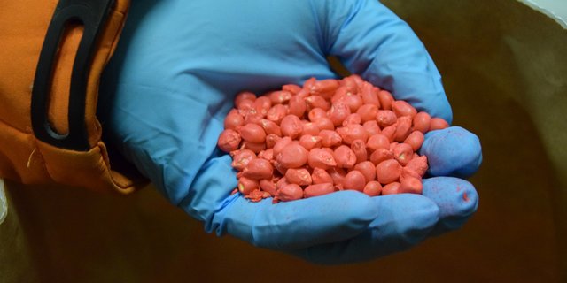 Saatgutproduzenten bieten Maissaatgut entweder mit Mesurol oder Korit gebeizt an. Beides sieht farblich gleich aus. (Bild Jasmine Baumann)