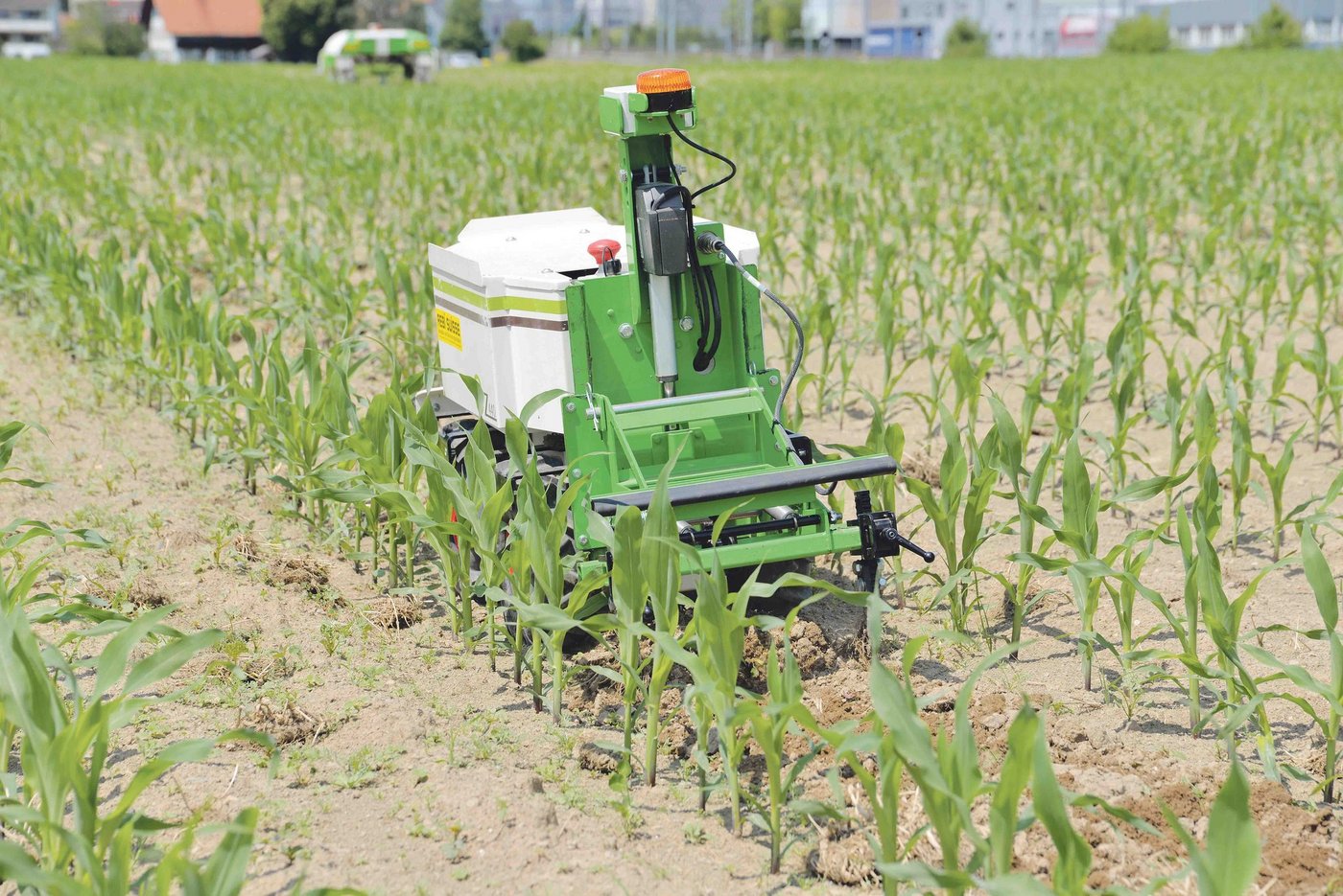 Auch für Hackarbeiten stehen mittlerweile verschiedene Roboter zur Verfügung. Hier der Naïo im Einsatz bei Mais. (Bild Beat Schmid)