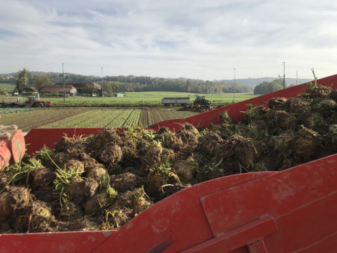 Unter den geförderten Energieeffizienz-Projekten ist auch Seeland Bio. (Bild seeland-bio.ch)