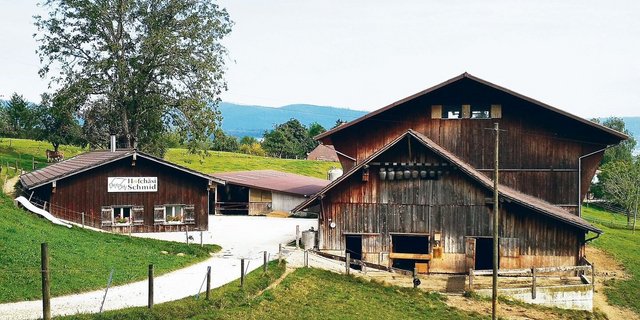 Neu gestartet auf bestens bekanntem Terrain: Francesco De Benedetto fühlt sich daheim auf dem heimeligen, urchigen Bauernhof Hofchäsi Schmid in Gretzenbach. 