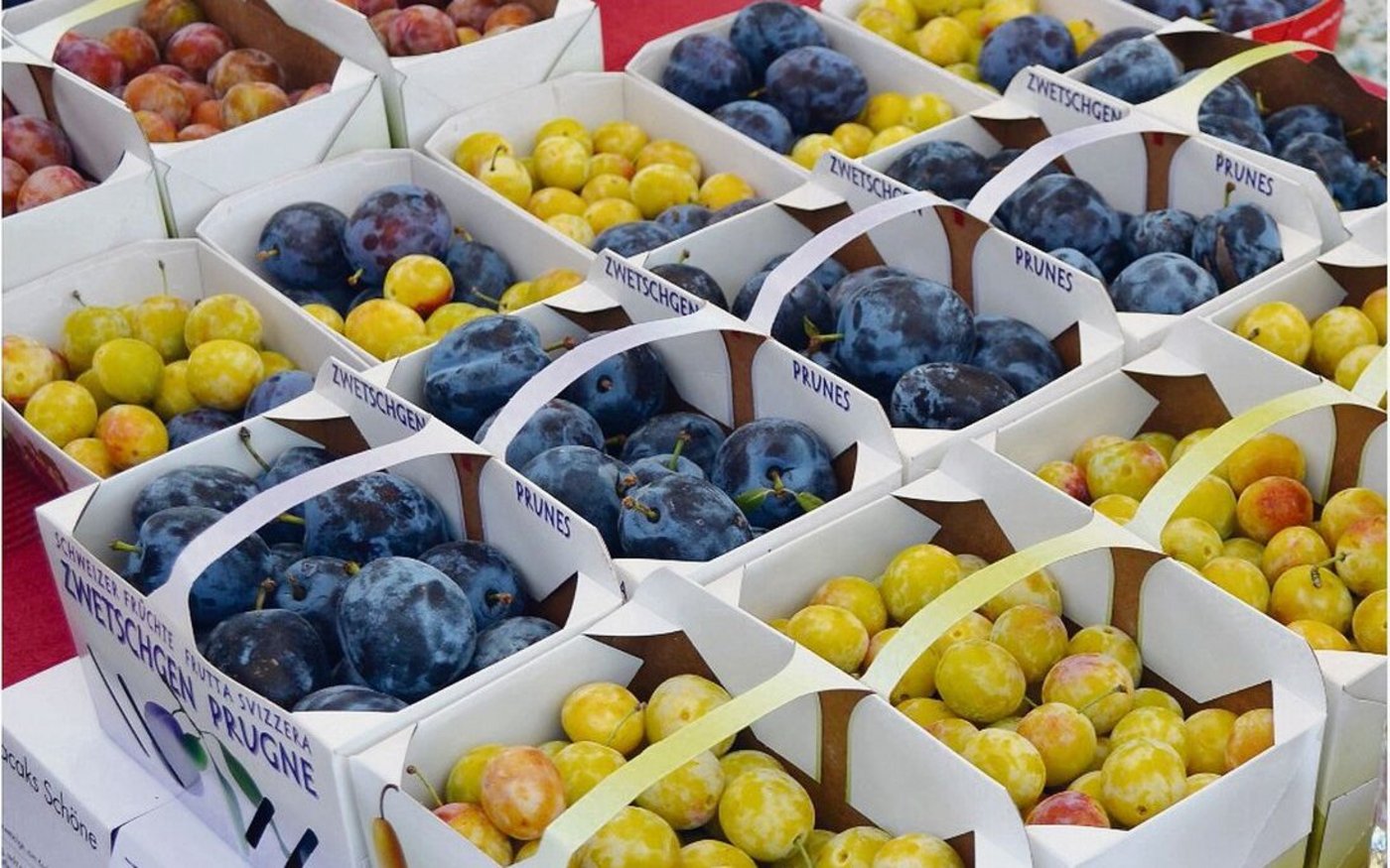 Einstieg in die Produktion von Früchten kann eine Möglichkeit sein, die Wertschöpfung trotz weniger Tiere zu halten oder zu steigern. 