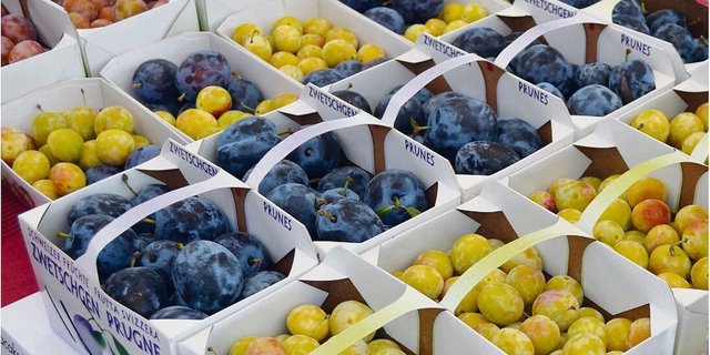 Einstieg in die Produktion von Früchten kann eine Möglichkeit sein, die Wertschöpfung trotz weniger Tiere zu halten oder zu steigern. 