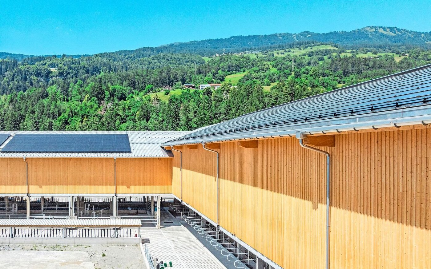 Insgesamt Platz für 330 Stück Rindvieh: Der Gutsbetrieb der Justizanstalt Realta in Cazis GR kann am 20. September besichtigt werden.