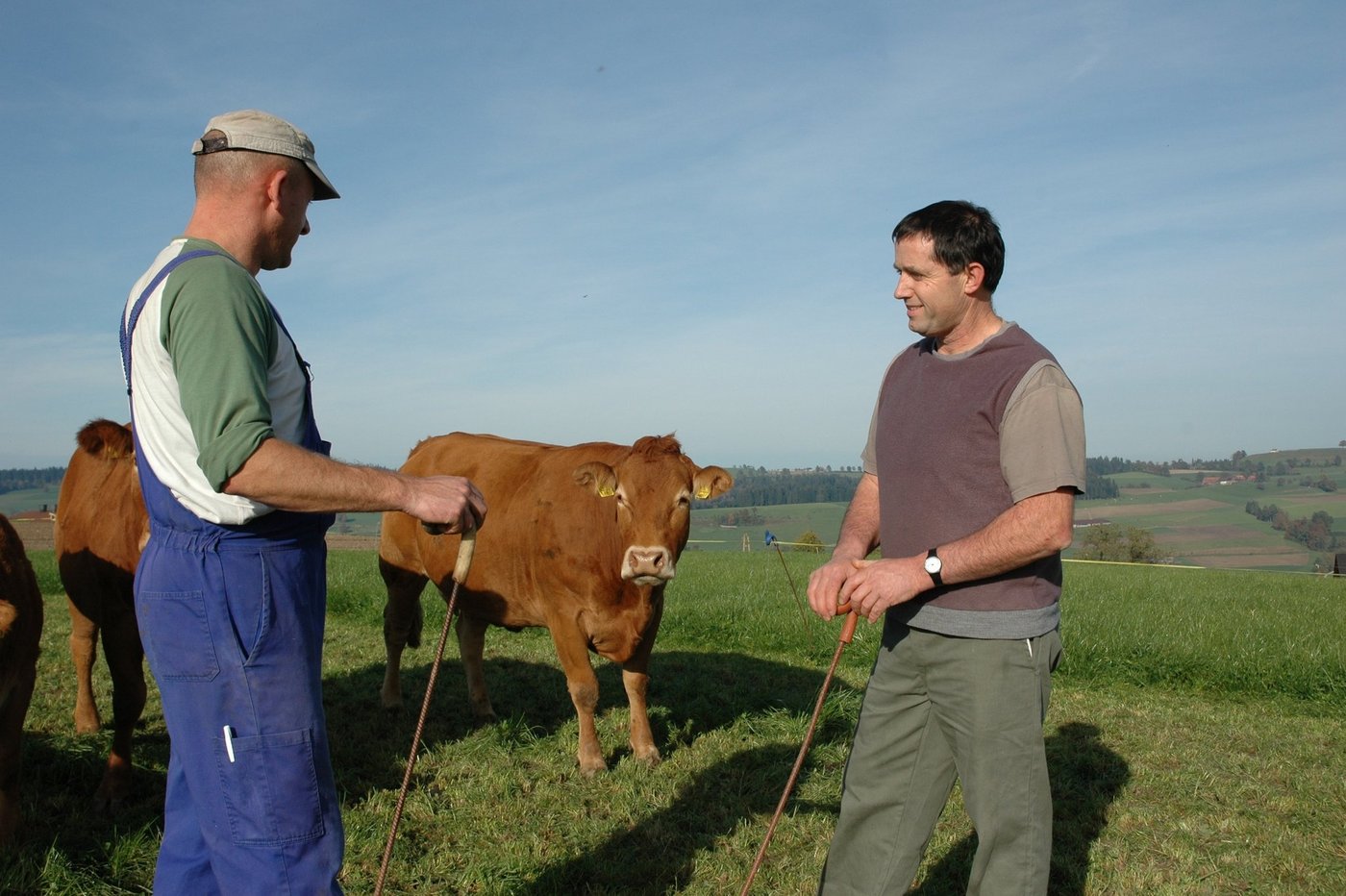 Auch Ende Oktober noch gutes Grünfutter: Landwirt Toni Seeholzer (rechts) mit seinem polnischen Mitarbeiter Norbert auf dem Hof Oberamsig in Sigigen (Ruswil). (Bild Armin Emmenegger)