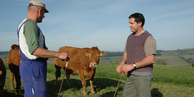 Auch Ende Oktober noch gutes Grünfutter: Landwirt Toni Seeholzer (rechts) mit seinem polnischen Mitarbeiter Norbert auf dem Hof Oberamsig in Sigigen (Ruswil). (Bild Armin Emmenegger)